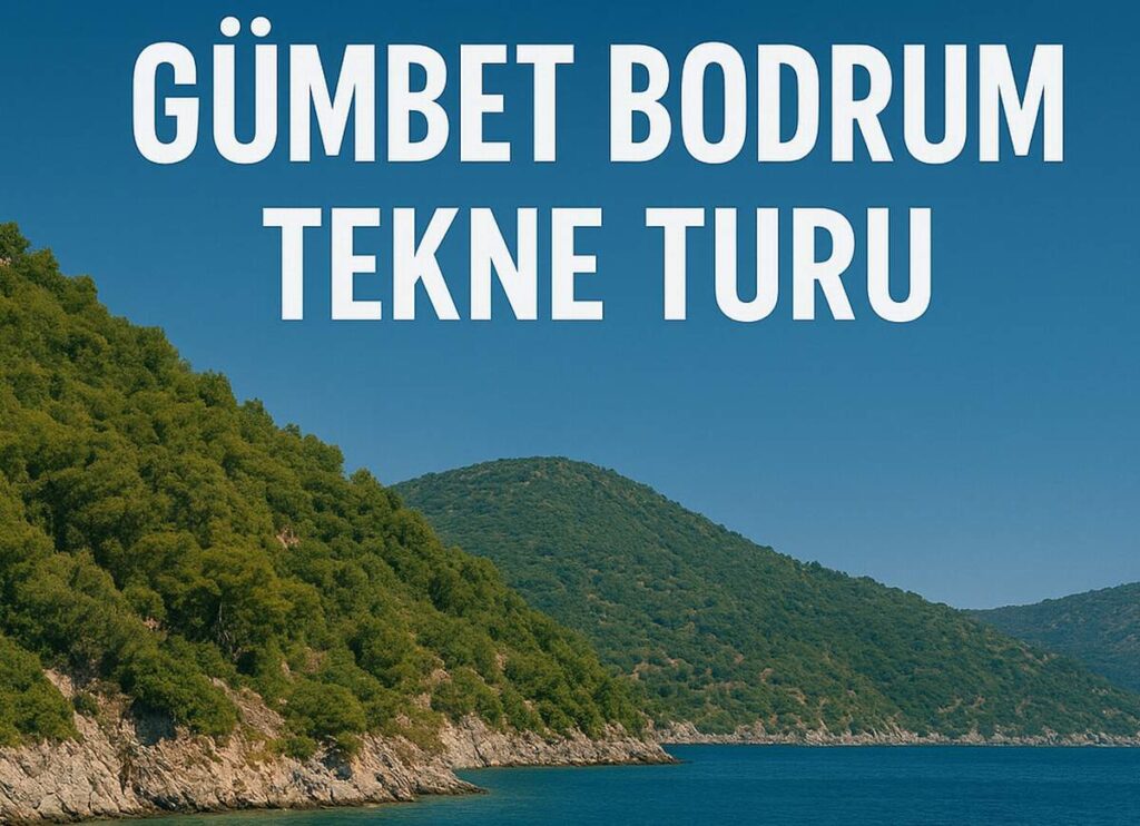 Alinda Tur Teknesi Gümbet Bodrum