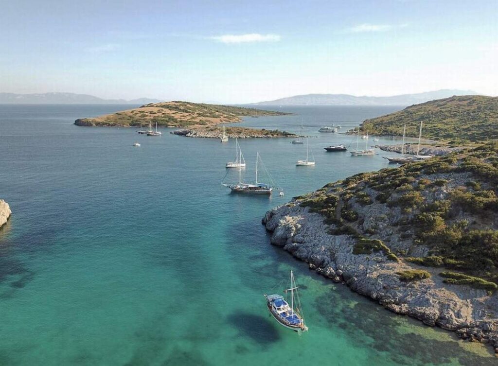 Gümbet Tekne Turları