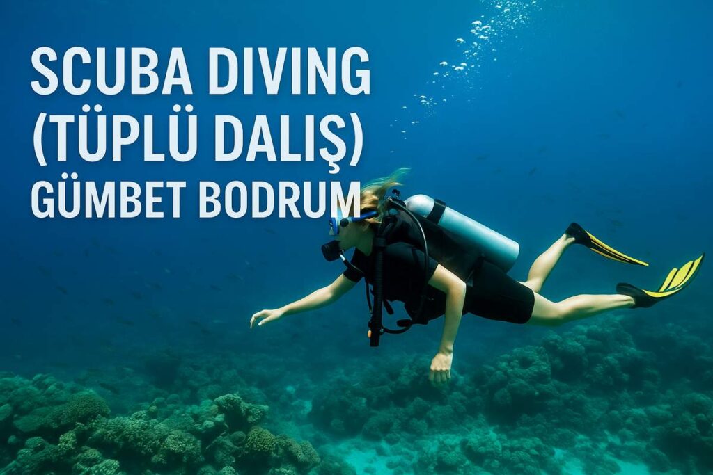 Scuba Diving Tüplü Dalış Gümbet Bodrum